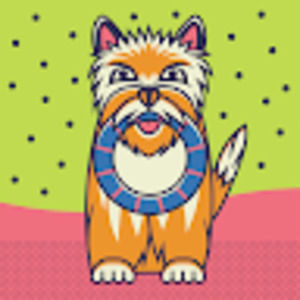 Meet your Posher, Fausto